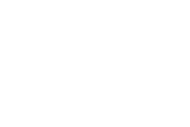 Battle Pro